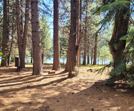 Ponderosa Flat Campground