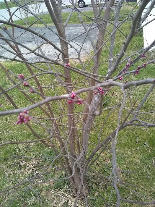 Spurlin Mobile Home Park Picture 1