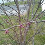 Spurlin Mobile Home Park