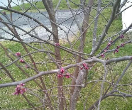 Spurlin Mobile Home Park