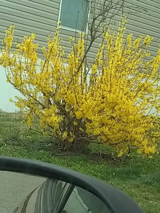 Spurlin Mobile Home Park Picture 3