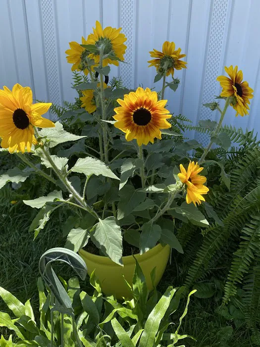 Spurlin Mobile Home Park Picture 2