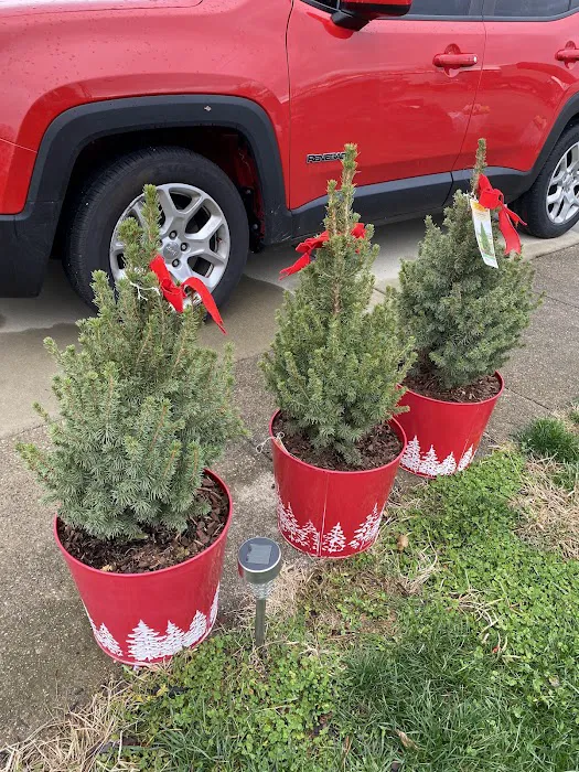 Spurlin Mobile Home Park Picture 6