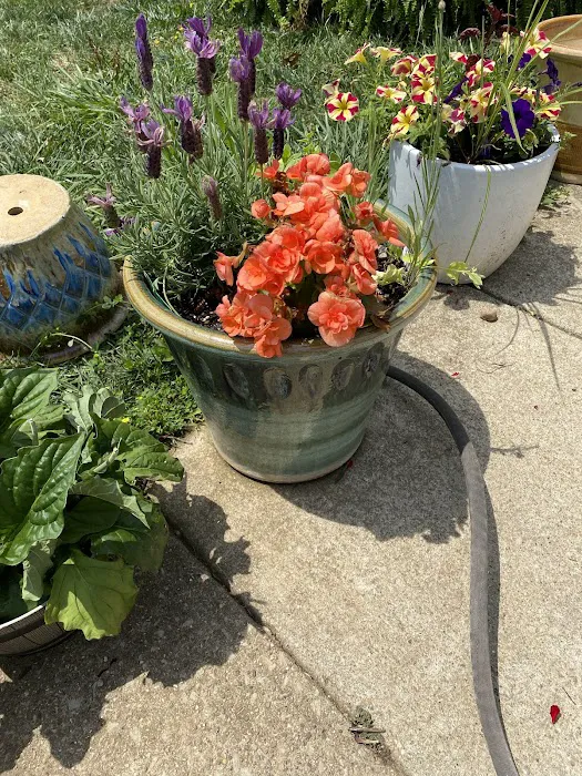 Spurlin Mobile Home Park Picture 7