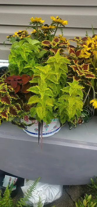 Spurlin Mobile Home Park Picture 9