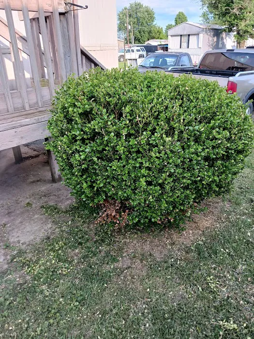 Dixie Plaza Mobil Home Park Picture 6