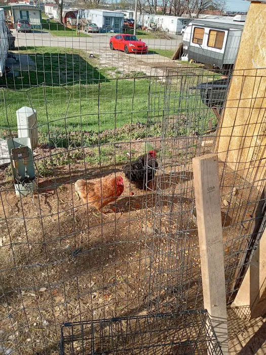 Dixie Plaza Mobil Home Park Picture 8