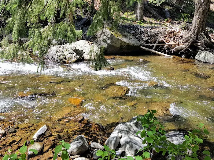 Cherry Hill Campground Picture 6