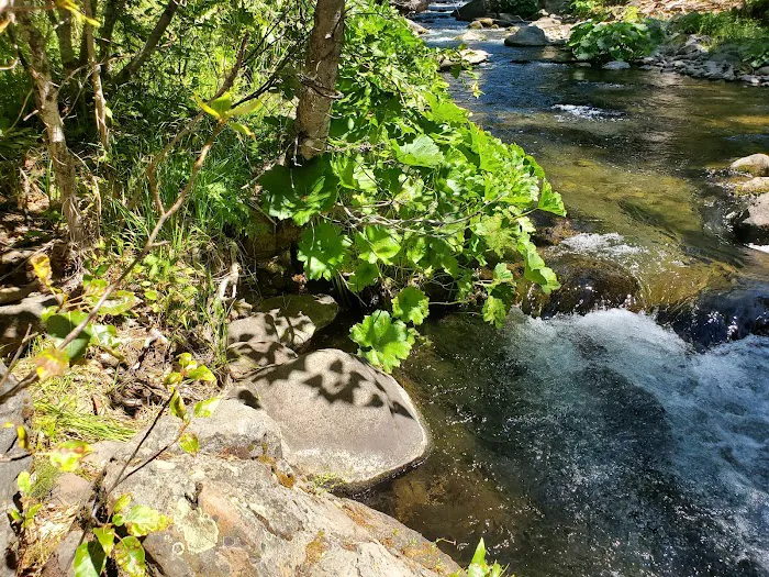 Cherry Hill Campground Picture 10