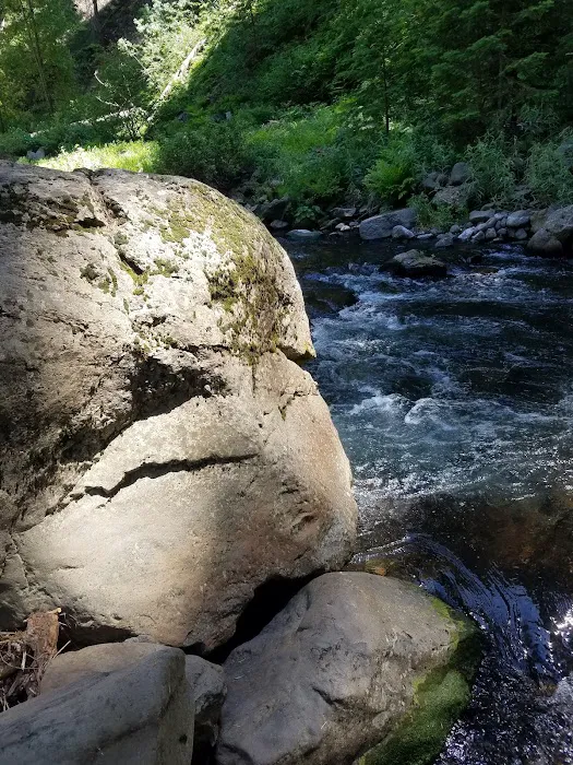 Cherry Hill Campground Picture 8