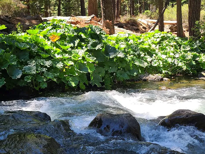 Cherry Hill Campground Picture 7