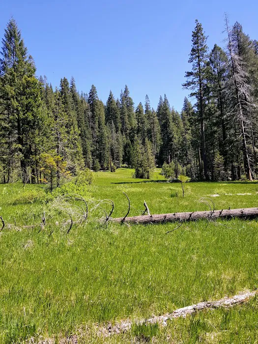 Cherry Hill Campground Picture 3