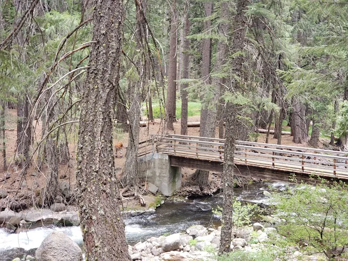 Cherry Hill Campground Picture 4