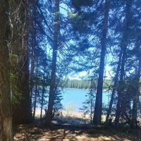 Snag Camp 2 ico