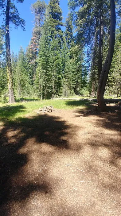 Snag Camp 1 Picture 5