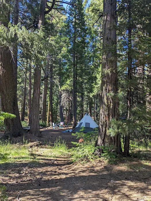 Butte Meadows Campground Picture 1