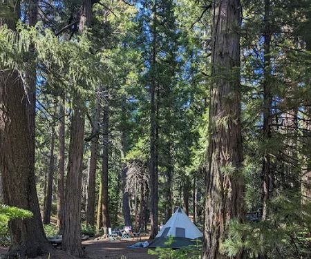 Butte Meadows Campground