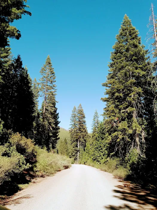 Butte Meadows Campground Picture 4