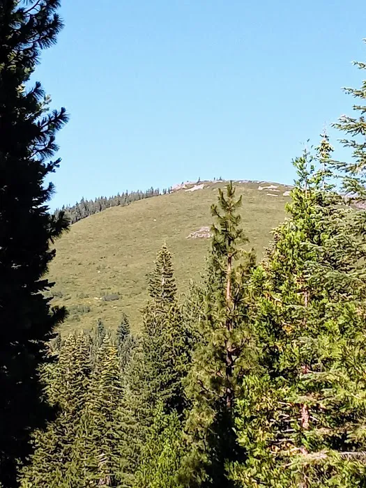 Butte Meadows Campground Picture 3