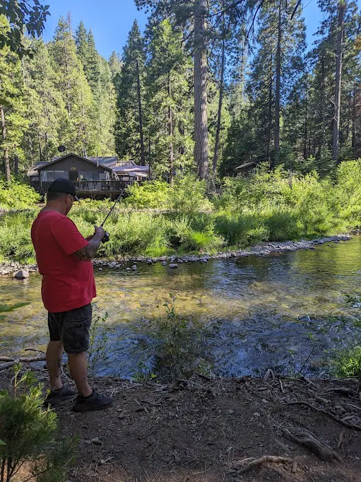 Butte Meadows Campground Picture 10