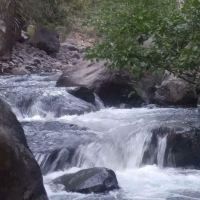 west branch camp road campground ico