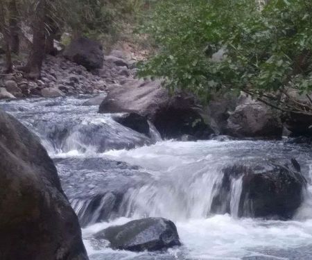 west branch camp road campground