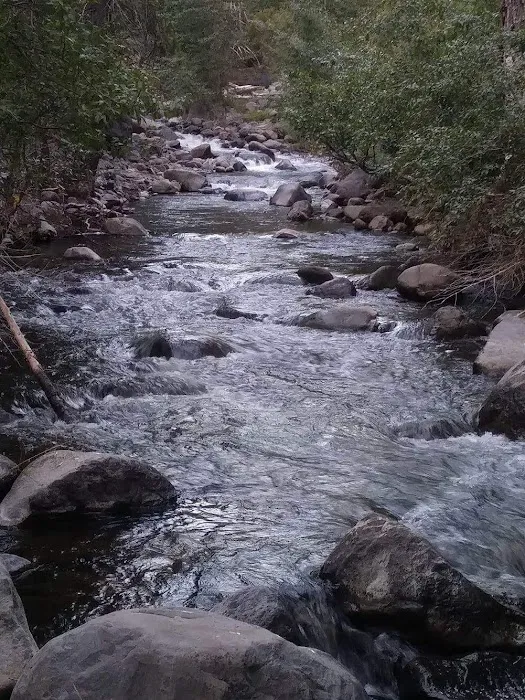 west branch camp road campground Picture 5