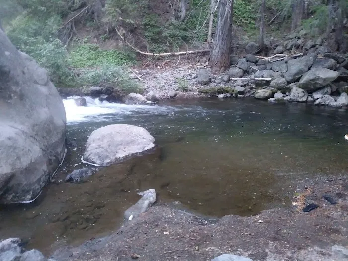 west branch camp road campground Picture 3