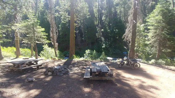 west branch camp road campground Picture 7