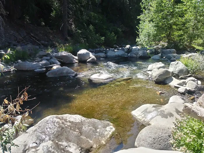 west branch camp road campground Picture 10