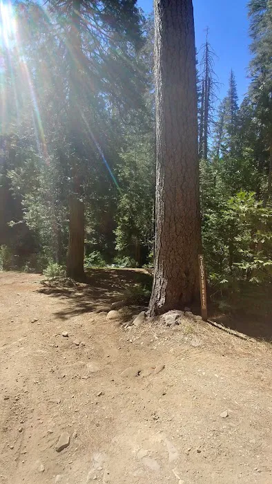 west branch camp road campground Picture 9