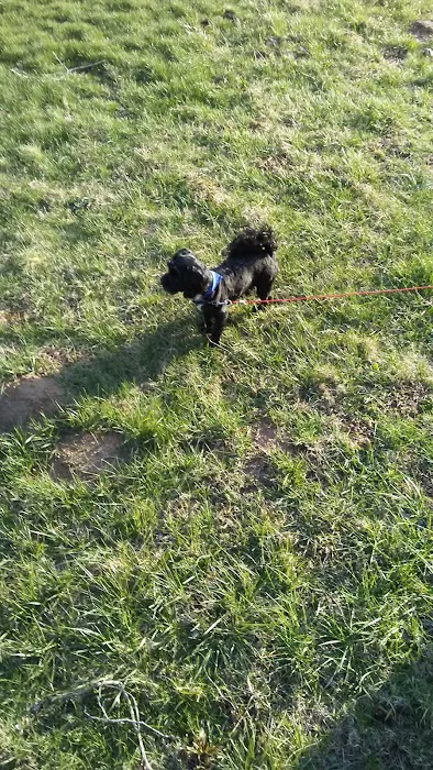 Madison Mobile Home Park Picture 1