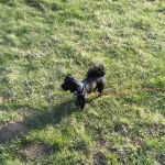 Madison Mobile Home Park