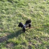 Madison Mobile Home Park ico