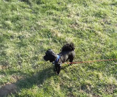 Madison Mobile Home Park