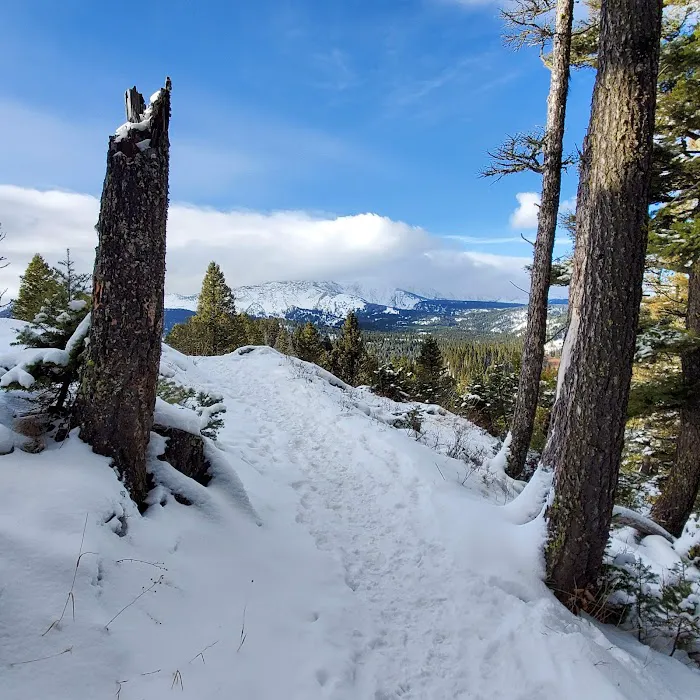 Brackett Creek Trailhead Picture 1