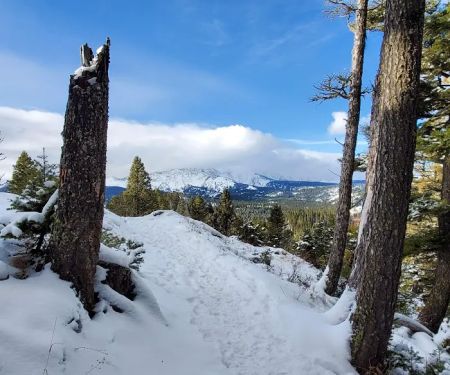 Brackett Creek Trailhead