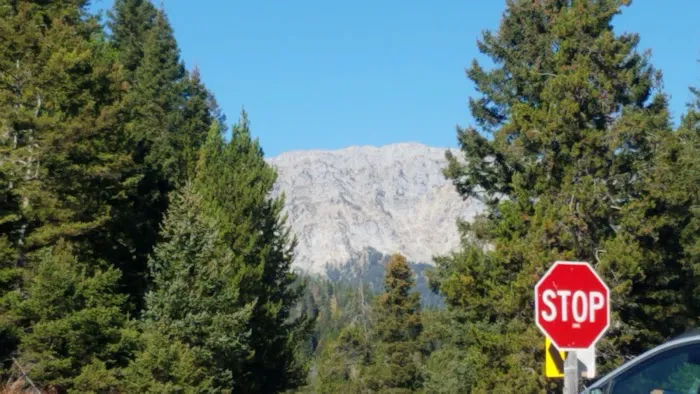 Brackett Creek Trailhead Picture 7