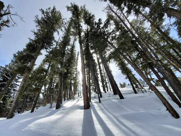 Brackett Creek Trailhead Picture 9
