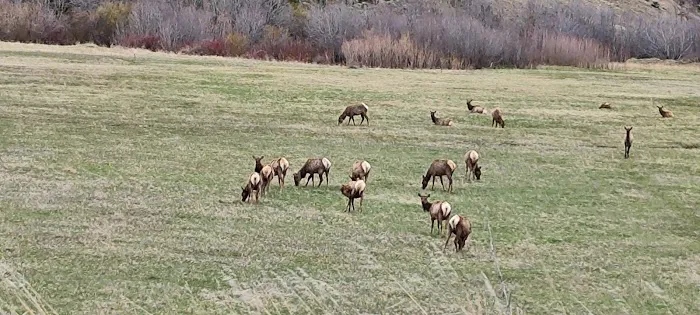 Brackett Creek Trailhead Picture 5