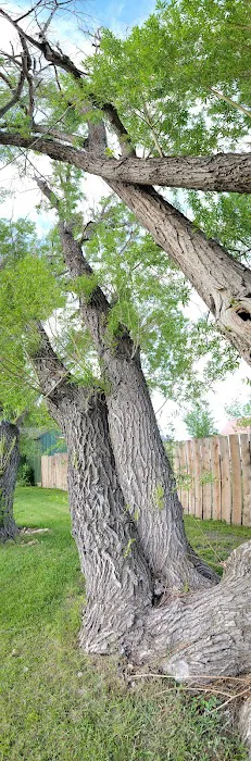 Livingston Campground Picture 10