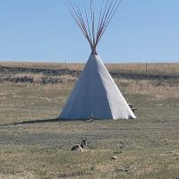 Elk River Crossing ico