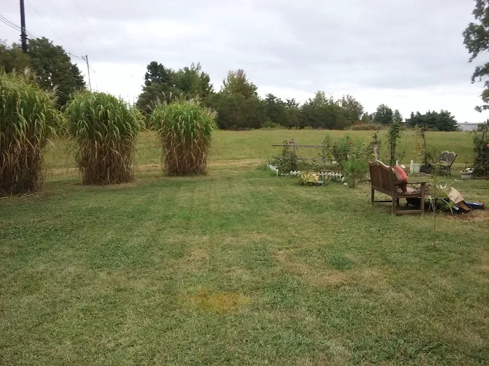 Lazy Acres MHC Picture 6