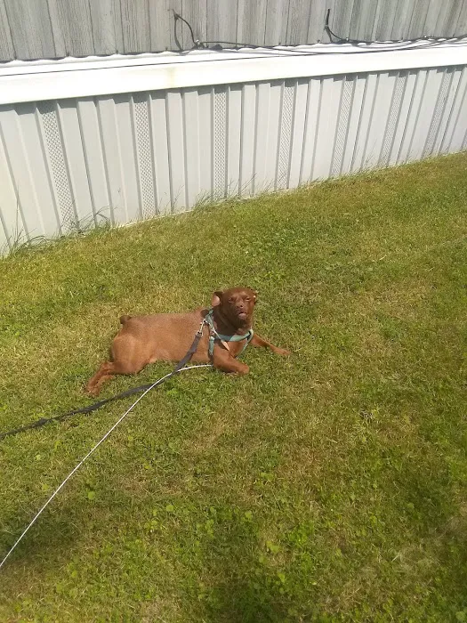 Clark's Mobile Home Park Picture 7