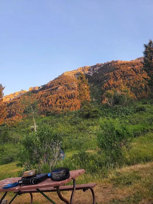 Upper Lake Campground - Red Rock Lakes NWR Picture 7