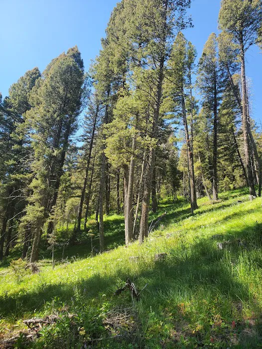 Upper Lake Campground - Red Rock Lakes NWR Picture 8
