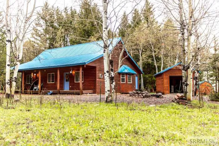 The Cozy Cabin Picture 4