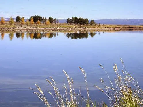 Yellowstone Holiday RV Campground Picture 7