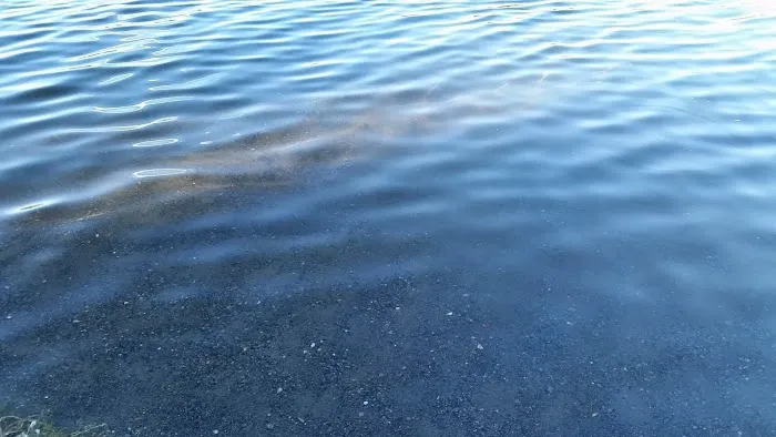 Lonesomehurst Campground Picture 4