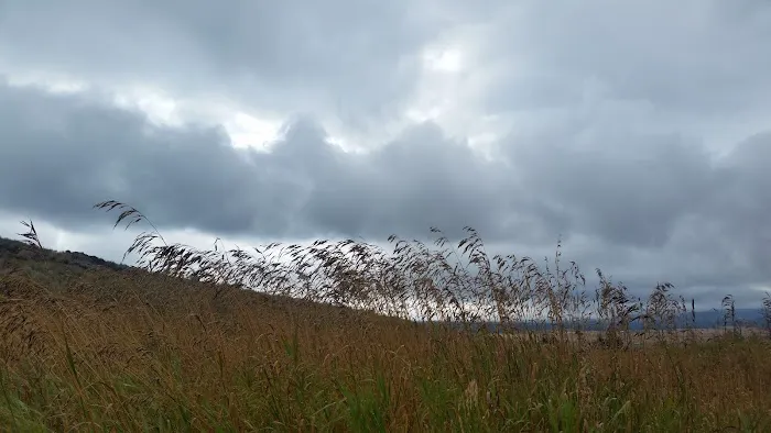 Lonesomehurst Campground Picture 10